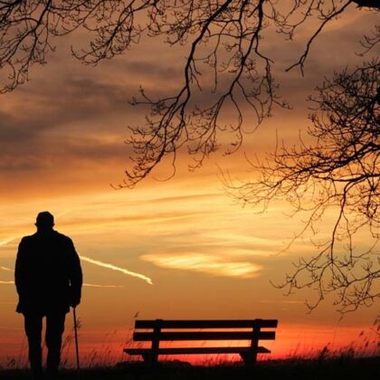 Şeyh Mustafa'nın Hikayesi