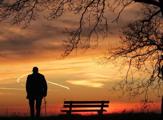 Şeyh Mustafa'nın Hikayesi