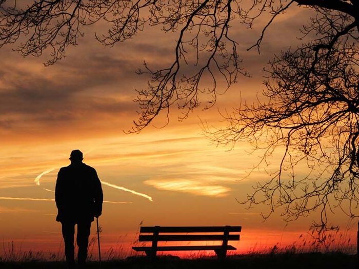 Şeyh Mustafa'nın Hikayesi