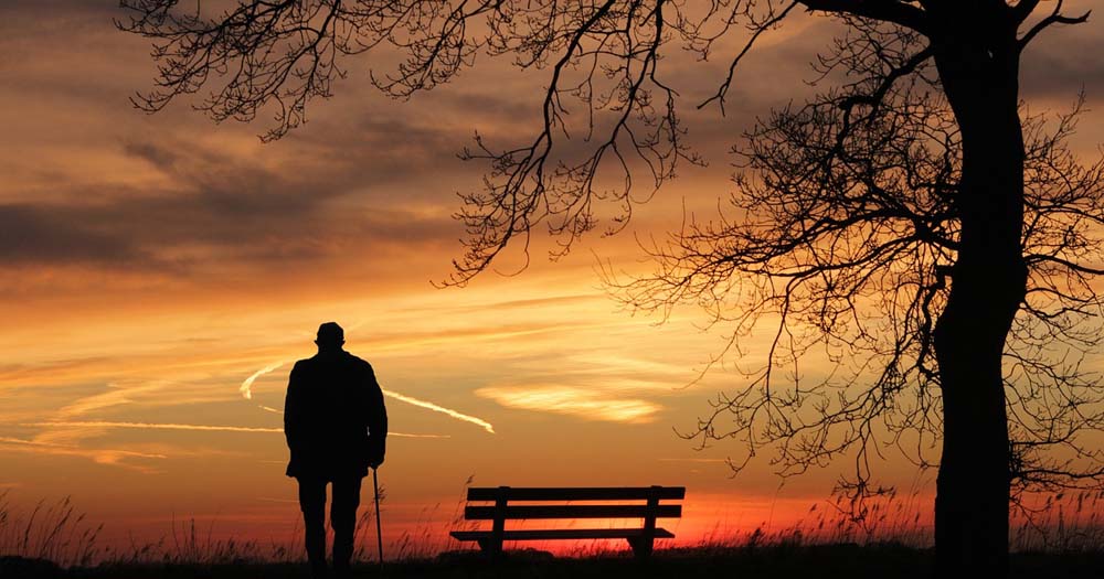 Şeyh Mustafa'nın Hikayesi